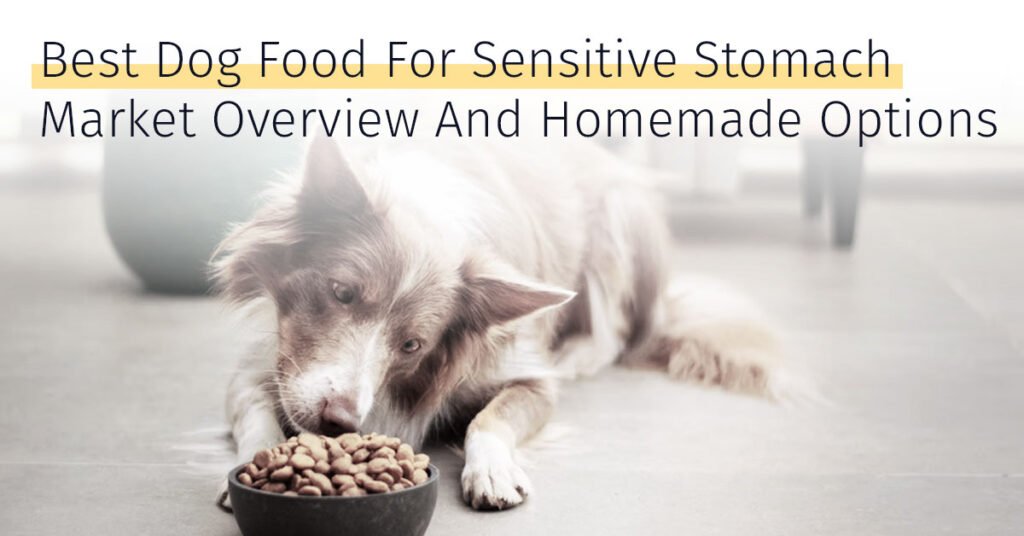 best dog foods for sensitive stomach