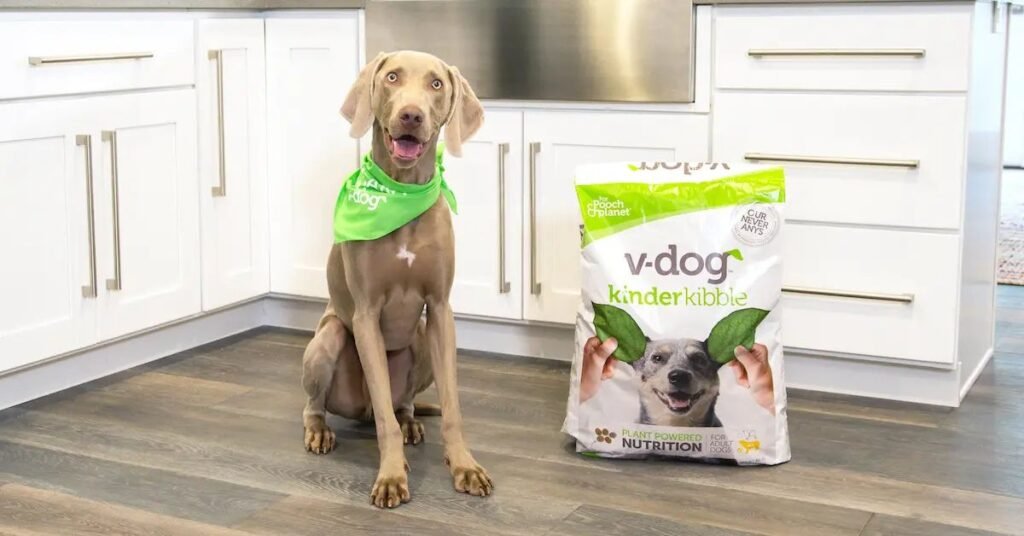 best dog foods for sensitive stomach
