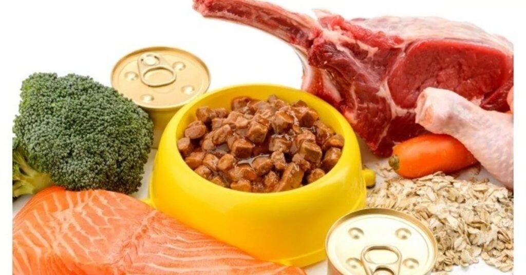 best dog foods for sensitive stomach