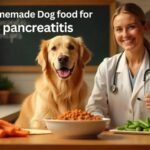 Best dog foods for a sensitive stomach